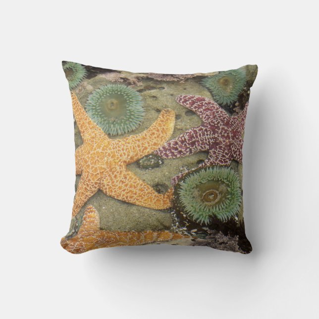 Coussin Anémones géantes vertes et étoiles de mer ocres (Recto)