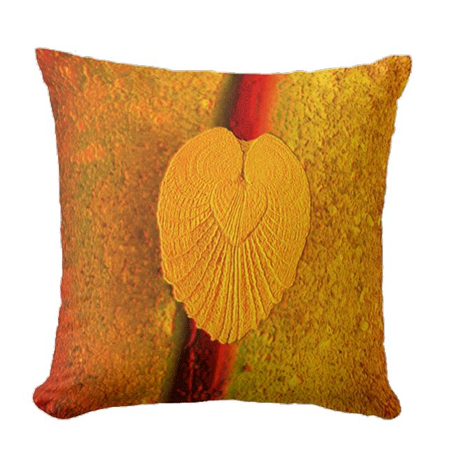 Coussin Ange Coeur Coeur Coquille Ailes - Lever de soleil  (Créateur téléchargé)