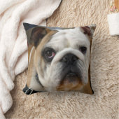 Coussin Anglais Taureau Chien de compagnie Jetez l'oreille (Couverture)
