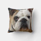 Coussin Anglais Taureau Chien de compagnie Jetez l'oreille (Verso)