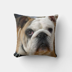 Coussin Anglais Taureau Chien de compagnie Jetez l'oreille