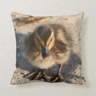 Coussin animal de faune d'oiseau de canard de bébé