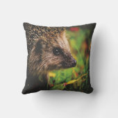 Coussin animal de hérisson (Verso)