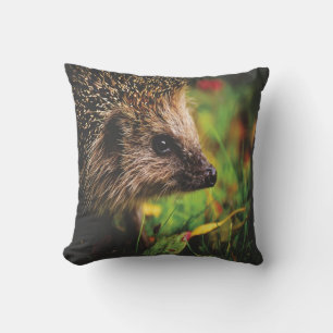 Coussin animal de hérisson