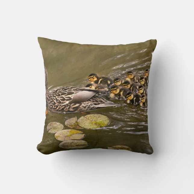 Coussin Animal - Ducks - Swim like a duck (Recto)