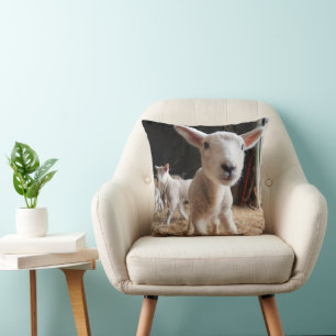 Coussin Animaux de bébés cutest   Agneau mignon dans une f
