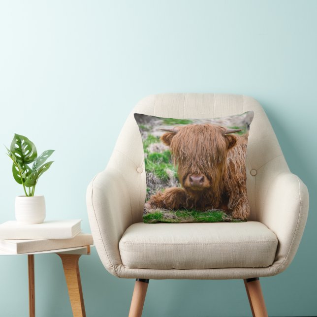 Coussin Animaux de bébés cutest | Calf de vache des Highla (Chaise)