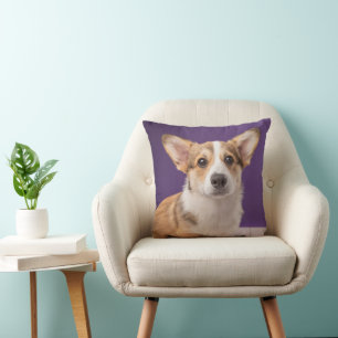 Coussin Animaux de bébés cutest   Corgi Chiple sur Purple
