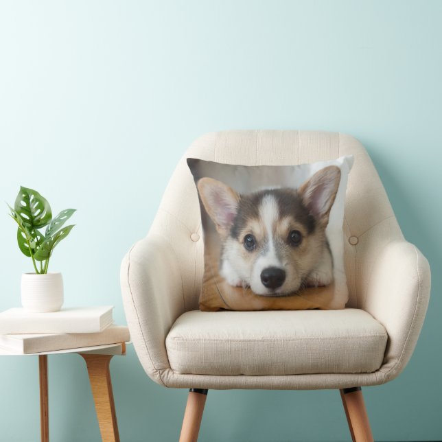 Coussin Animaux de bébés cutest | Corgi Puppy (Chaise)