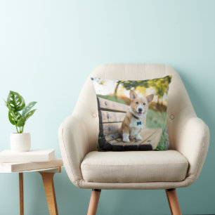 Coussin Animaux de bébés cutest Corgi Puppy sur un banc