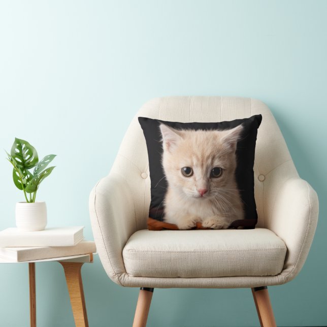 Coussin Animaux de bébés cutest | Ginger Kitten (Chaise)