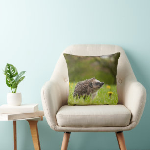 Coussin Animaux de bébés cutest Hérisson européen