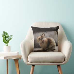 Coussin Animaux de bébés cutest Lapin nain de Pays-Bas