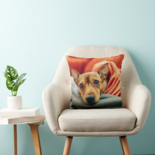 Coussin Animaux de bébés cutest Miniature Pinscher