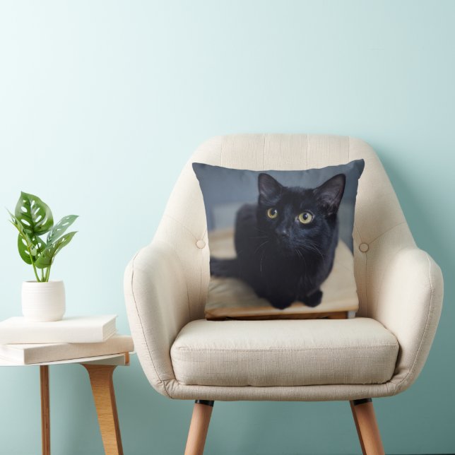 Coussin Animaux de bébés cutest | Portrait d'un chat noir (Chaise)
