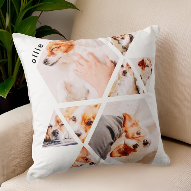 Coussin Animaux de compagnie Formes modernes Géométrique 8 (Créateur téléchargé)
