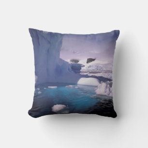 Coussin Antarctique. Paysages glaciaires antarctiques 2