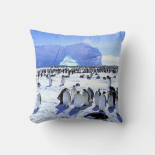 Coussin Antarctique, péninsule Antarctique, mer de Weddell