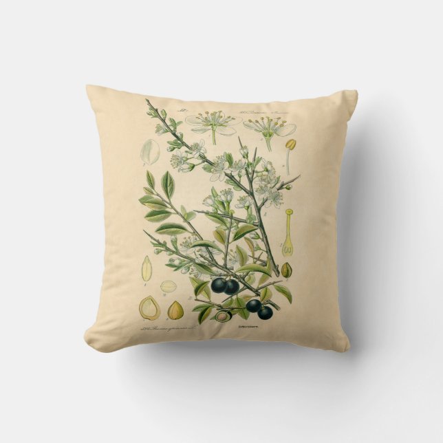 Coussin Antique Blackthorn Botanique Imprimé Fleur Berry (Recto)