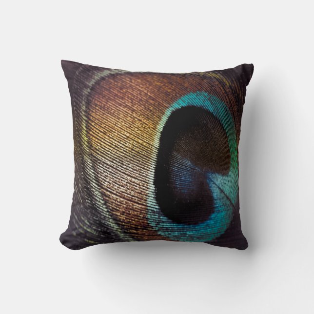 Coussin Antique Hues Peacock Feather Eye (Recto)