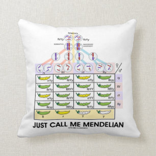 Coussin Appelez-juste moi mendélien (la génétique carr