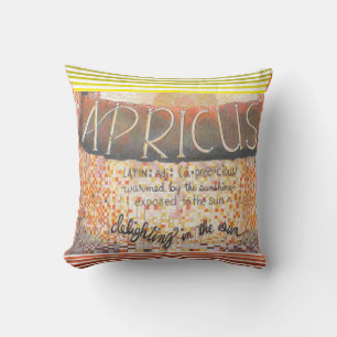 Coussin Apricus
