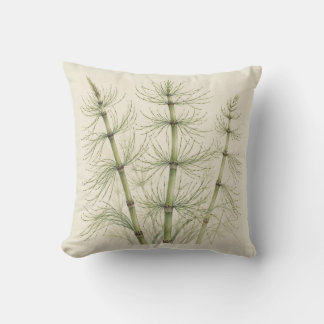 Coussin Aquarelle botanique d'ivore de Prêle verte