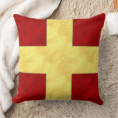 Coussin Aquarelle #Drapeau de signalisation maritime | NB (Couverture)