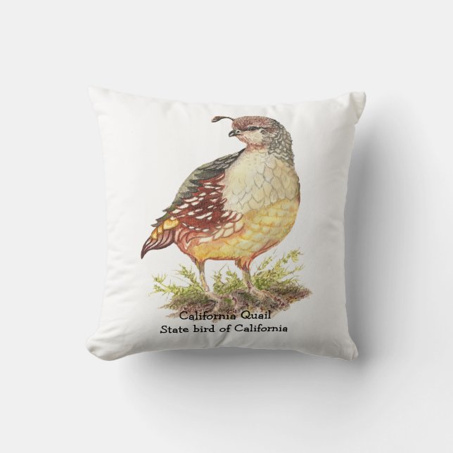 Coussin Aquarelle originale California Quail State Bird (Recto)