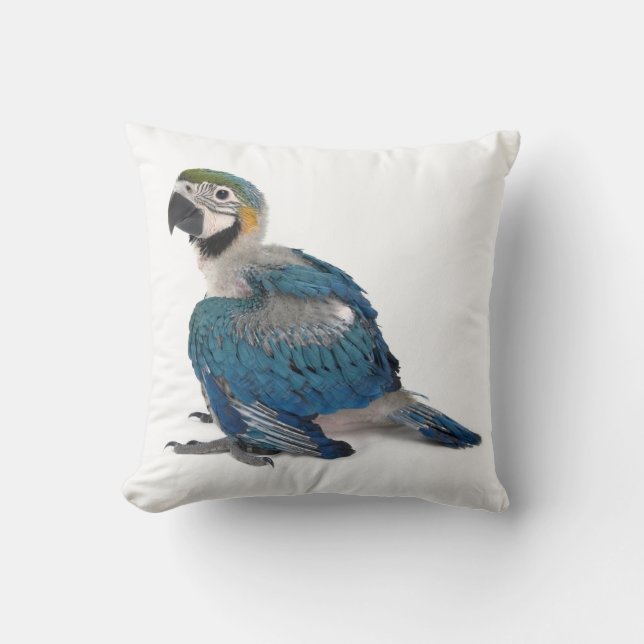 Coussin Ara bleu et jaune (Recto)