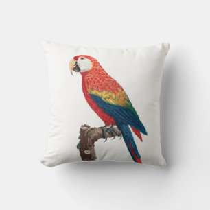 Coussin Ara Canga Parrot