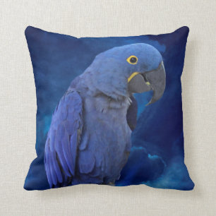 Coussin Ara de jacinthe