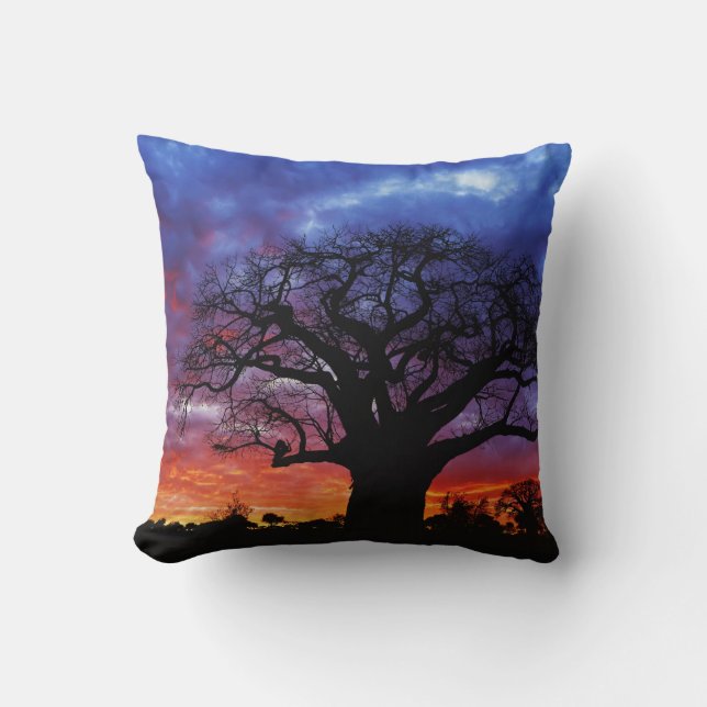 Coussin arbre baobab africain, Adansonia digitata, 2 (Recto)