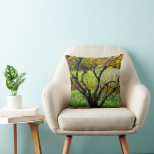 Coussin Arbre de bouleau de Carélie tordu en automne