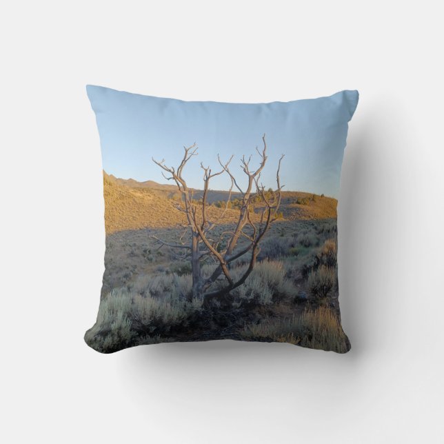 Coussin Arbre mort dans le désert du Nevada (Recto)