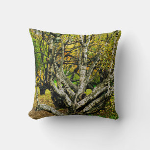 Coussin Arbre mystique noueux de bouleau de Carélie