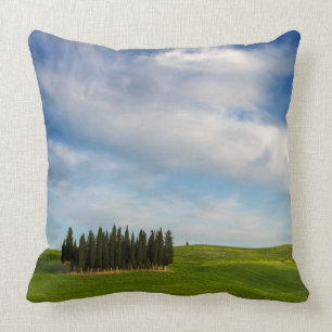 Coussin Arbres de Cypress dans le carreau de la Toscane