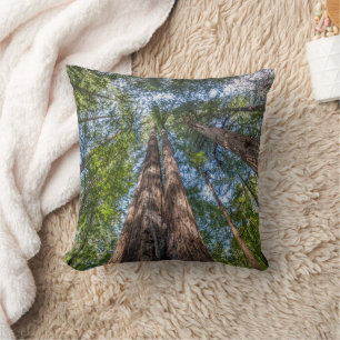Coussin Arbres de séquoia Comté de Marin, Californie