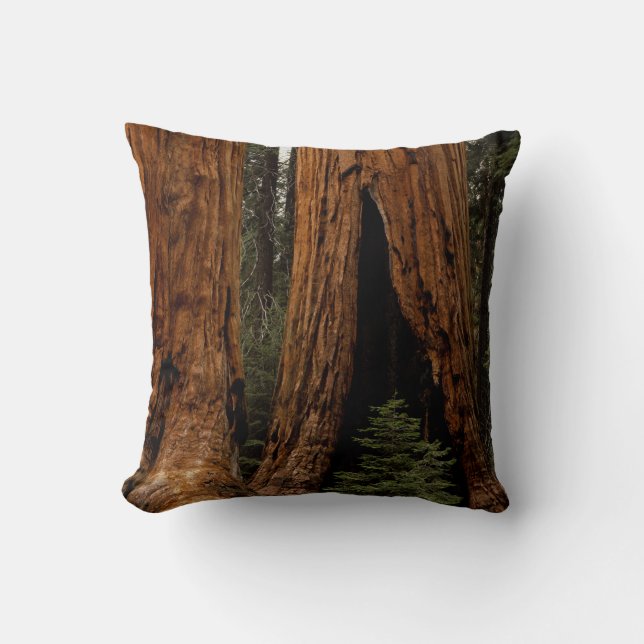 Coussin Arbres de séquoia, Parc national de Sequoia. (Recto)