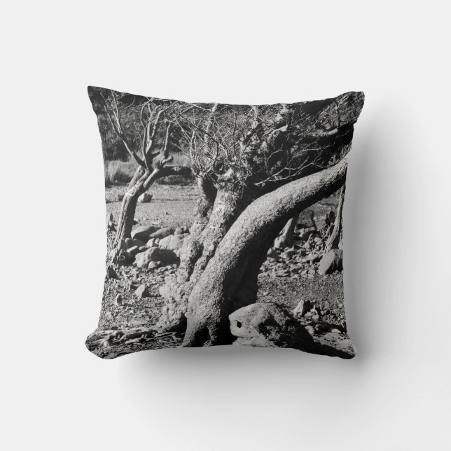 COUSSIN ARBRES NOIRS ET BLANCS (Recto)