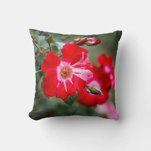 Coussin Arbuste du 4 juillet