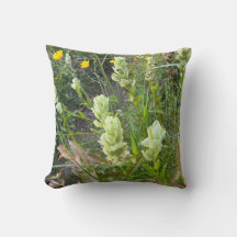 Arbutus fleur sauvage et pinceau indien 2 faces