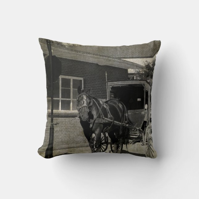 Coussin Arrêtez pour un sort, Cheval de Buggy Amish à sépi (Recto)