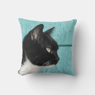 Coussin Arrière - plan bleu Turquoise Tuxedo Chat
