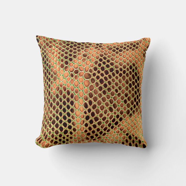 Coussin Arrière - plan de peau de serpent (Recto)