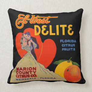 Coussin Art déco des années 1930 El-West Delite Florida 