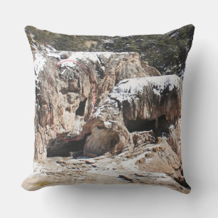 Coussin Art rupestre - L'Art de la nature
