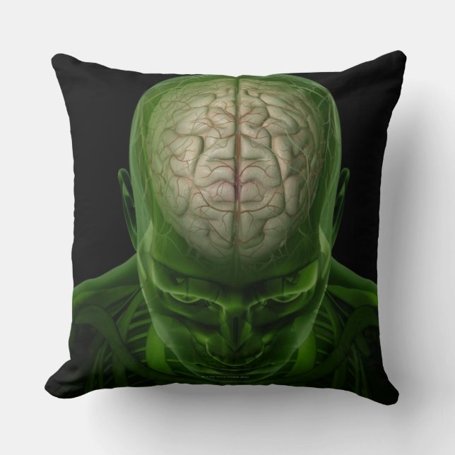 Coussin Artères de cerveau (Recto)