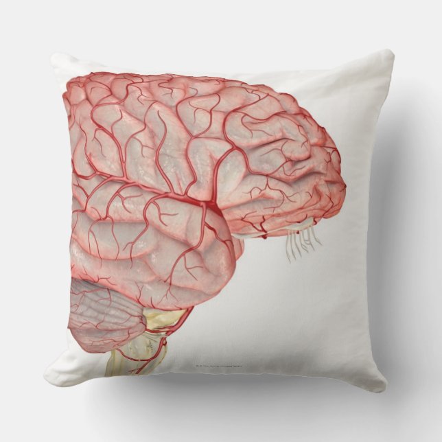 Coussin Artères du cerveau (Recto)