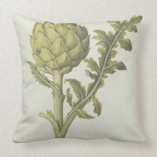 Coussin Artichaut : Scolymus de Cynara, c.1568
